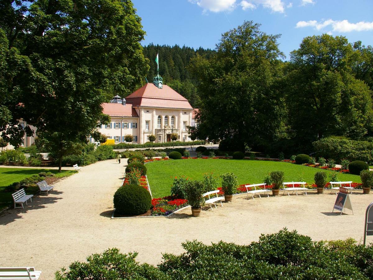 Pension Weisse Rose, Parkplatz, Fruehstueck, Wlan, Zentral Bad Elster Eksteriør bilde